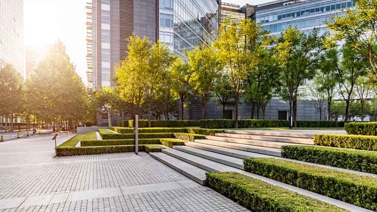 trees and buildings