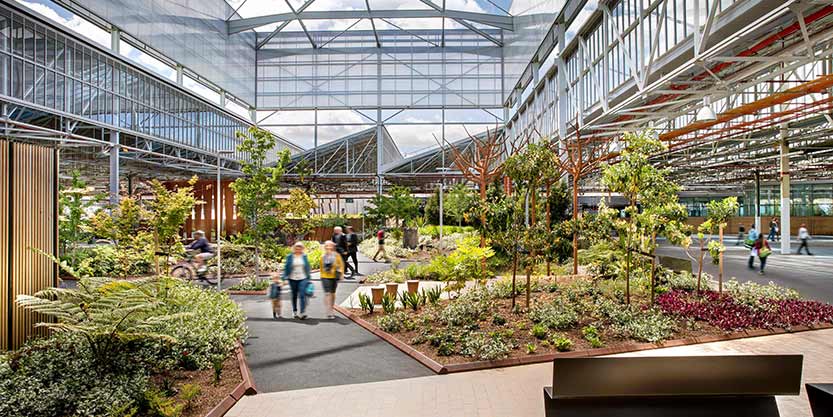 Tonsley Innovation District / Renewal SA