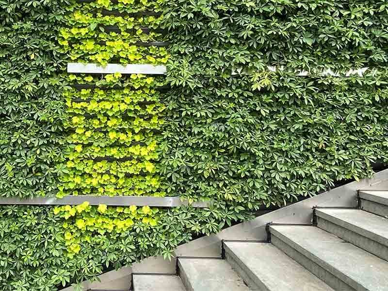 Green plants view alongside the stairs