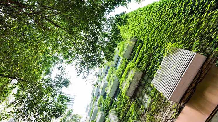 Chinas green buildings exist in lease and sale premium