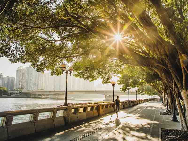 Asian woman jogging along the riverside.