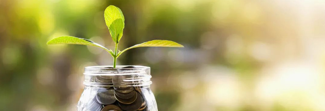 Glass bottle has coins and plant