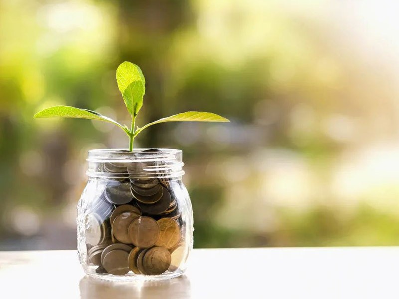 Glass bottle has Coins and plant