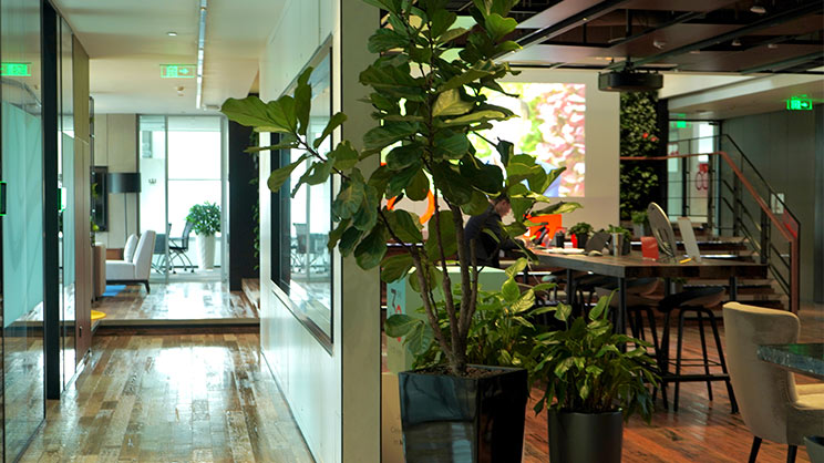 Office