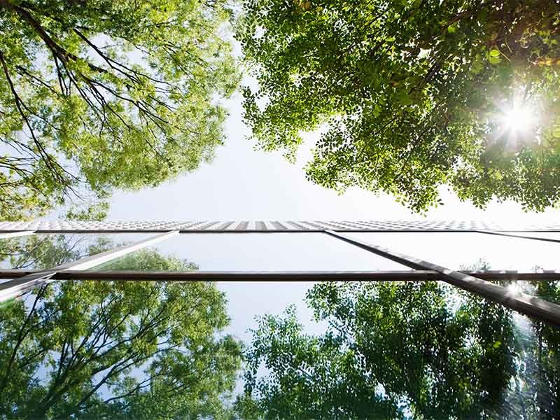 Trees View