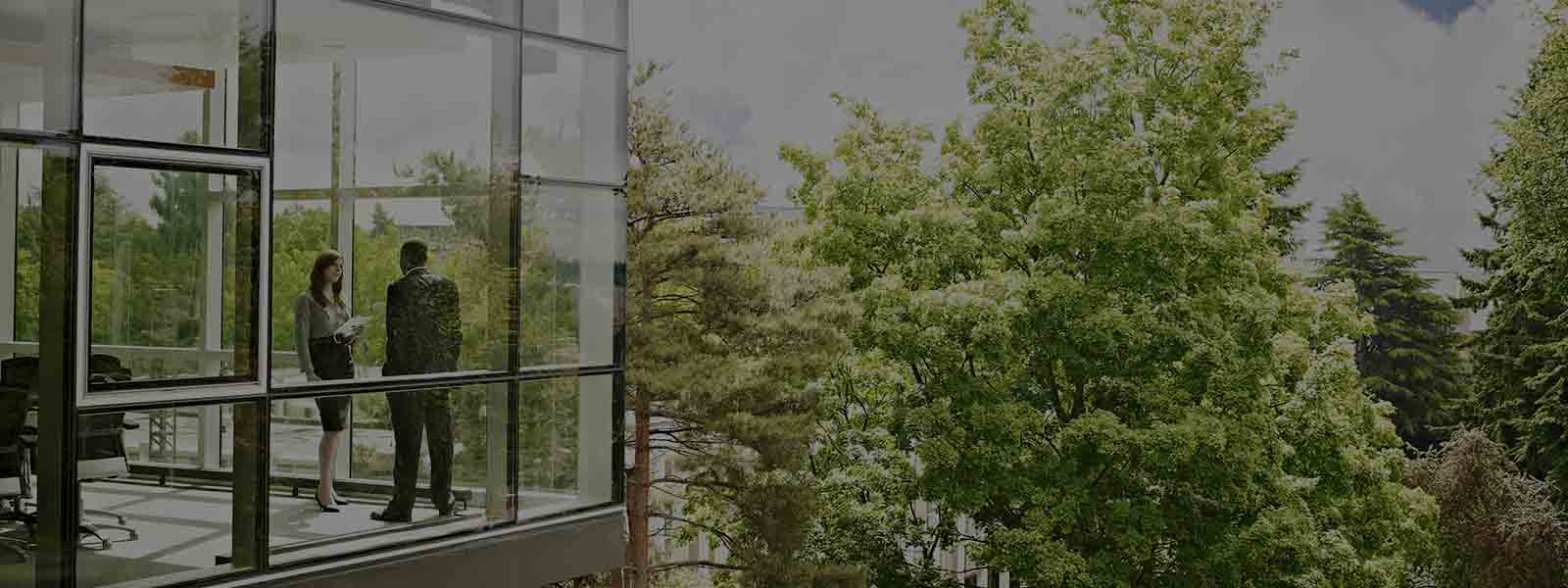 People are talking in a building covered with tress.