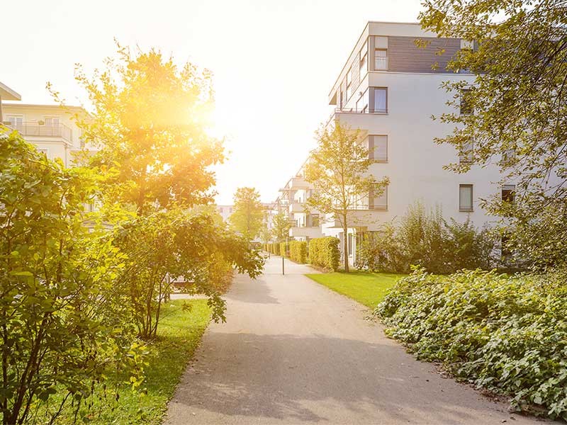 lane to row houses covered with greenery