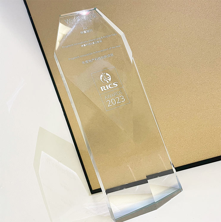 Picture of RICS award
