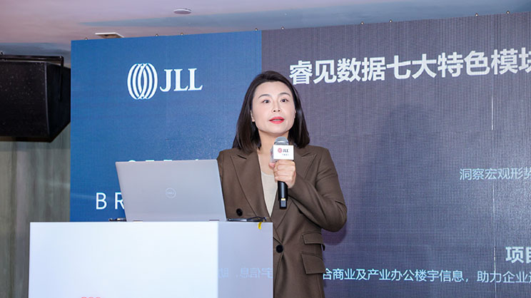 woman doing presentation