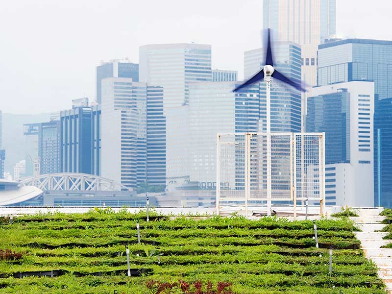 Buildings with windmill and greenery