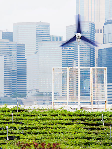 Buildings with windmill and greenery