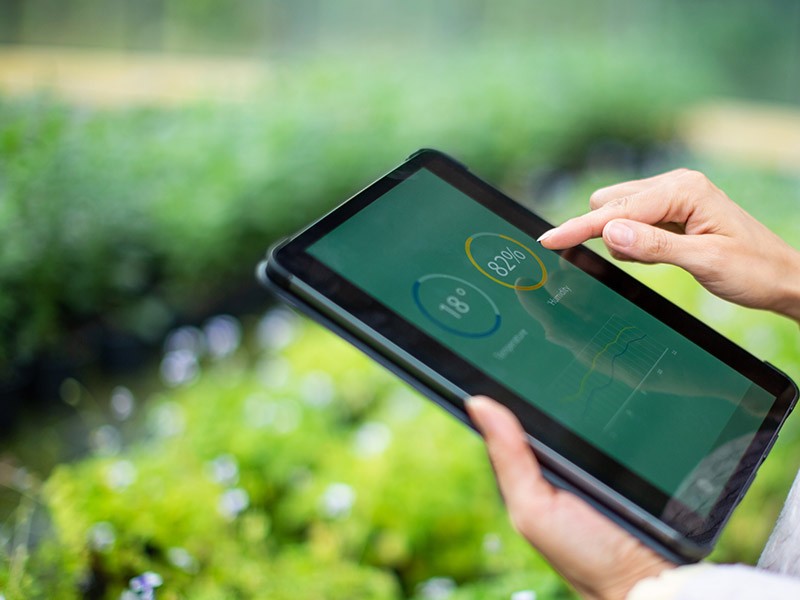 A person working on a tablet