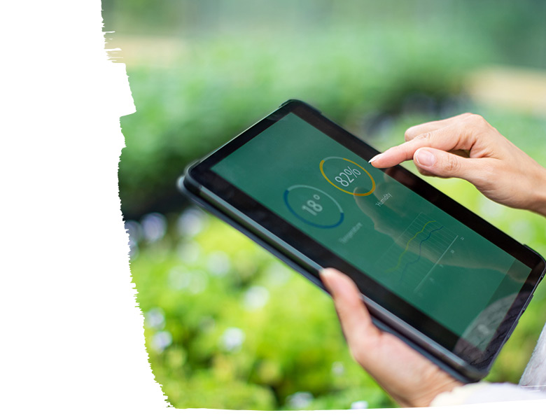 A person working on a tablet