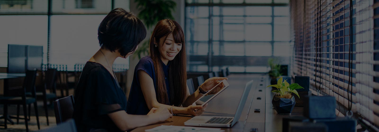 Business person using laptop