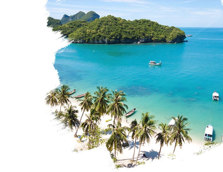 Sunny beach with palm trees in Koh Samui