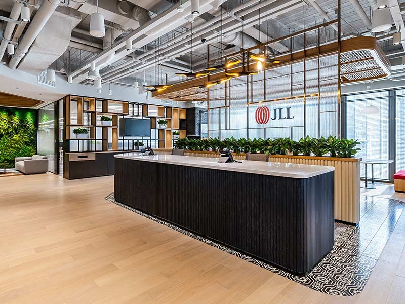 Reception of JLL