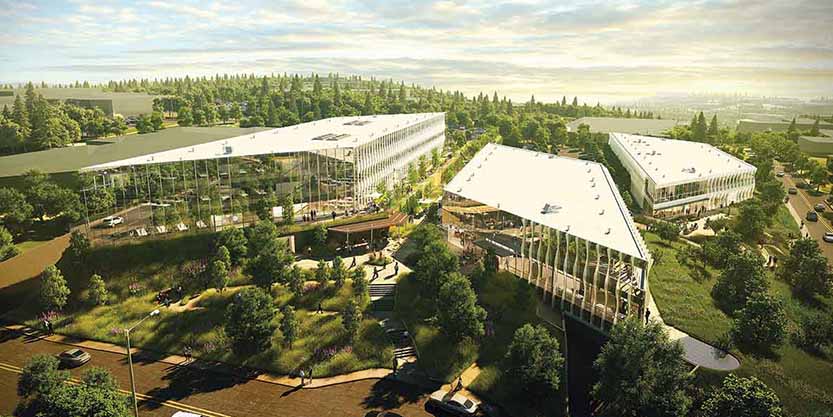 Trees and greenery surrounding buildings